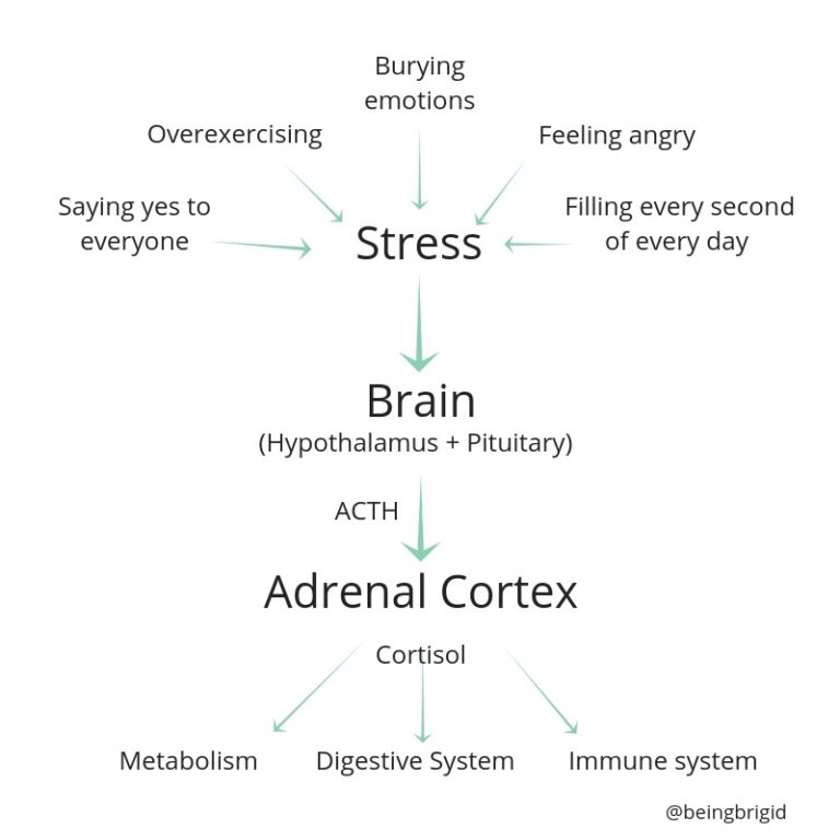 Is Stress Hurting Your Health? What You Need To Know About Adrenal 